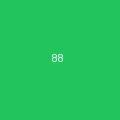 Fortune 888标志 - pg电子排名第十